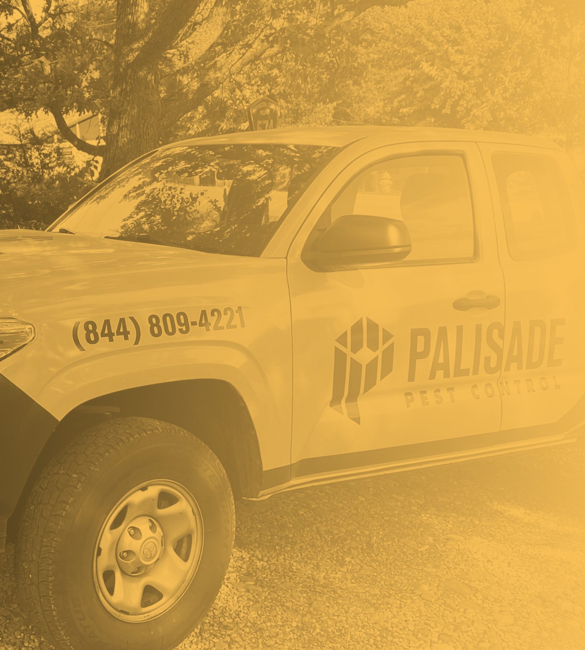 Take control of your domain with Palisade