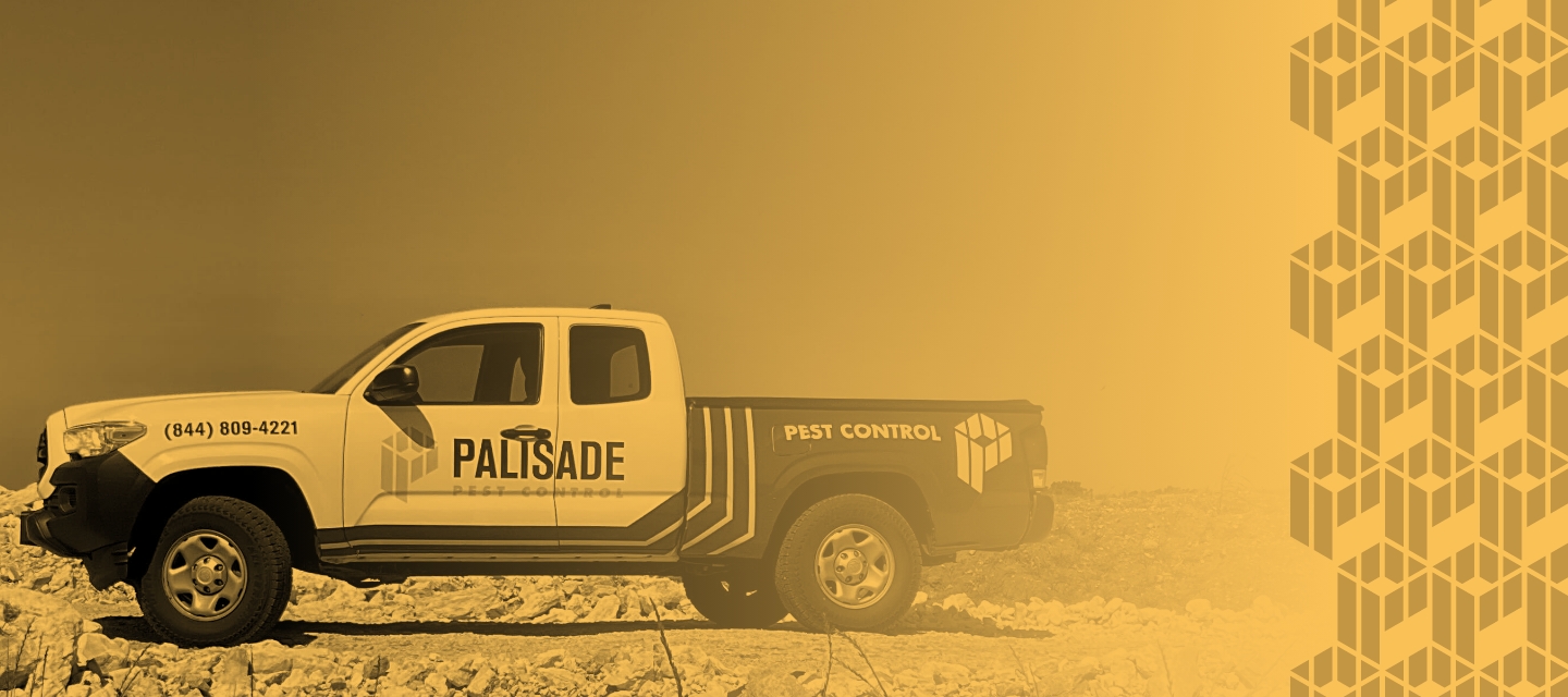 Take control of your domain with Palisade