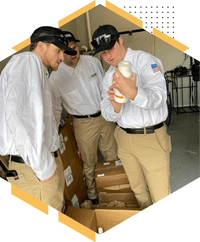 team members