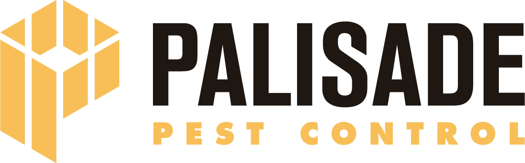 pallisade logo