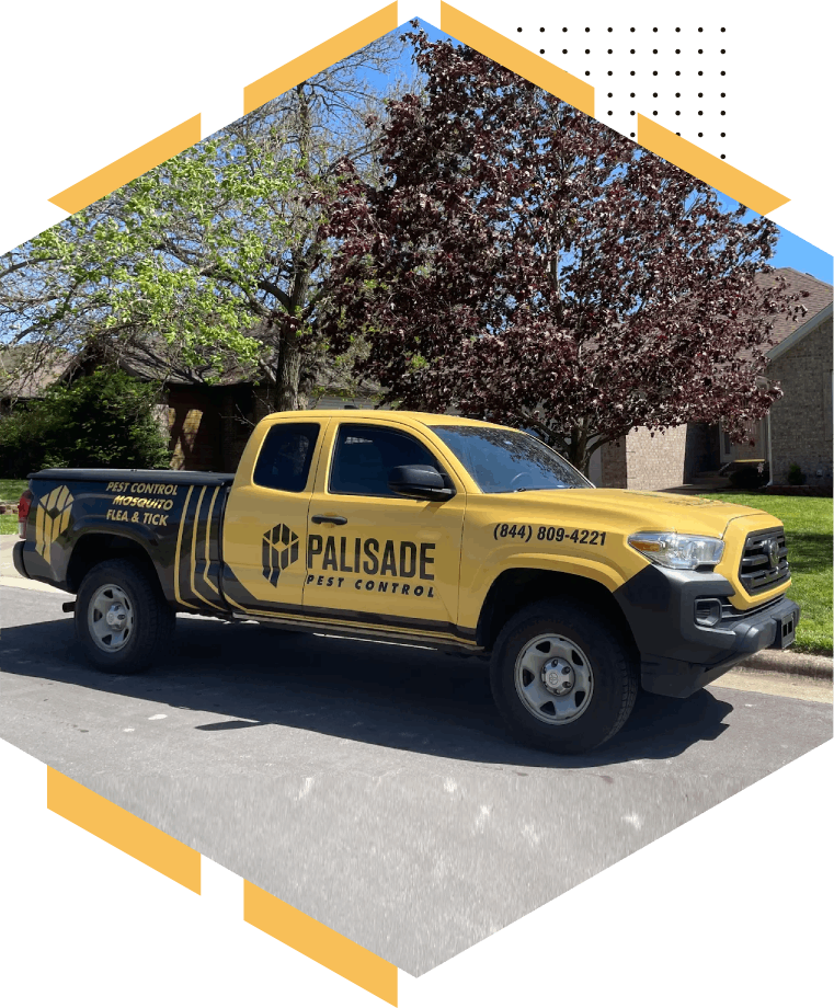 locations-palisade-pest-control