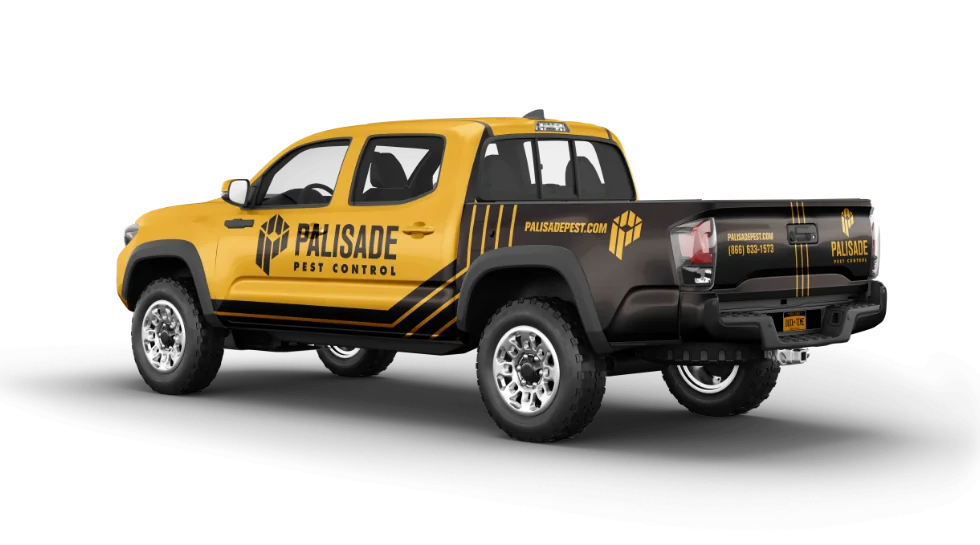 truck